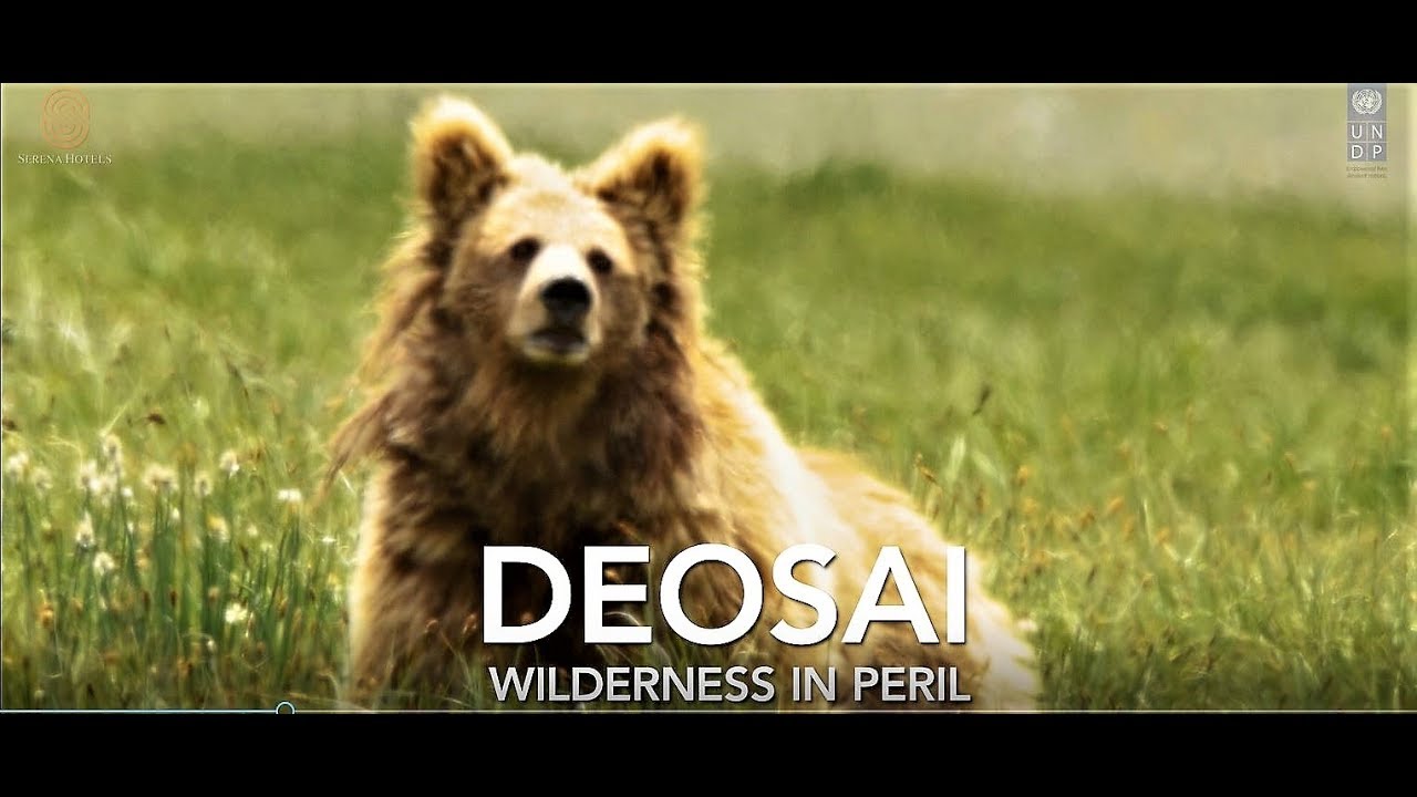 Deosai - Wilderness in Peril (Conservation of Himalayan Brown Bear)