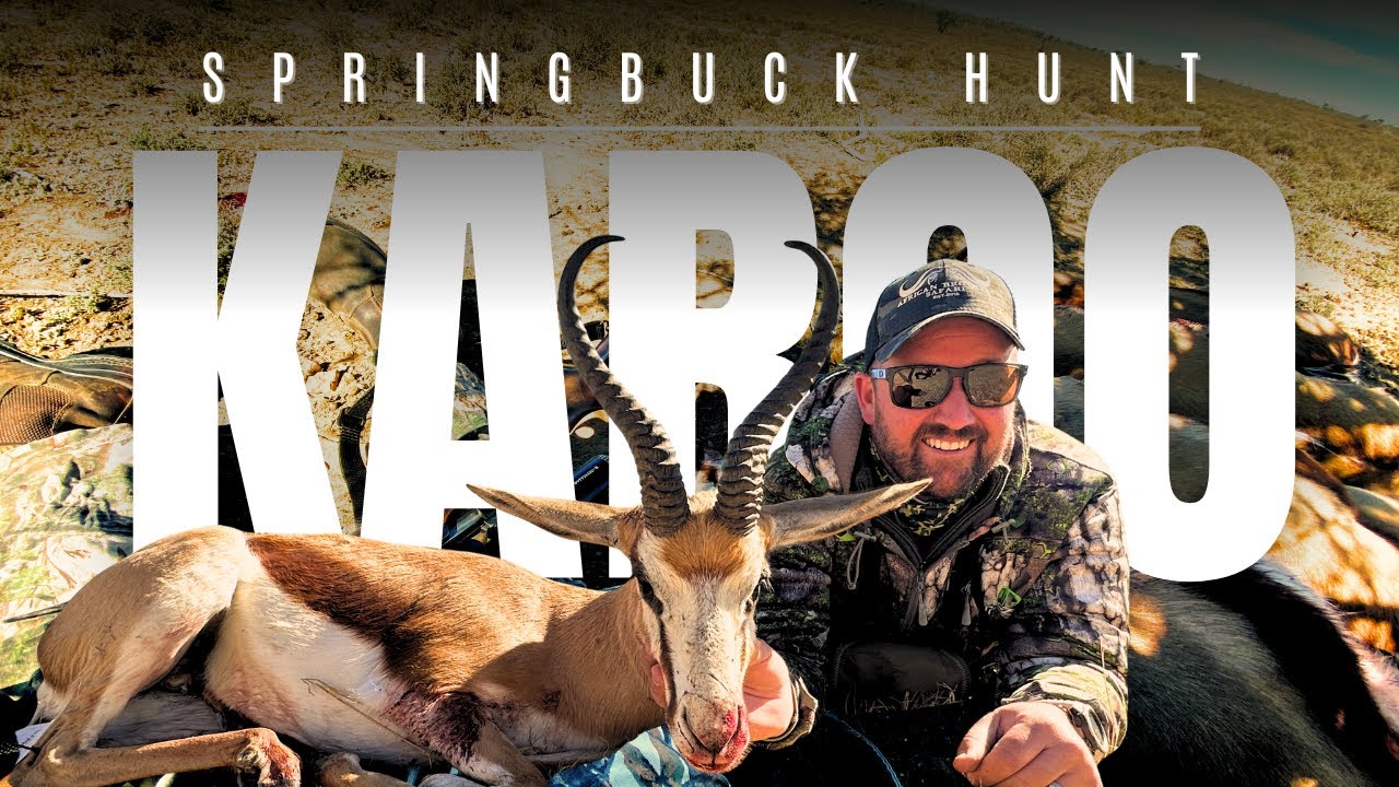Springbuck karoo 2025