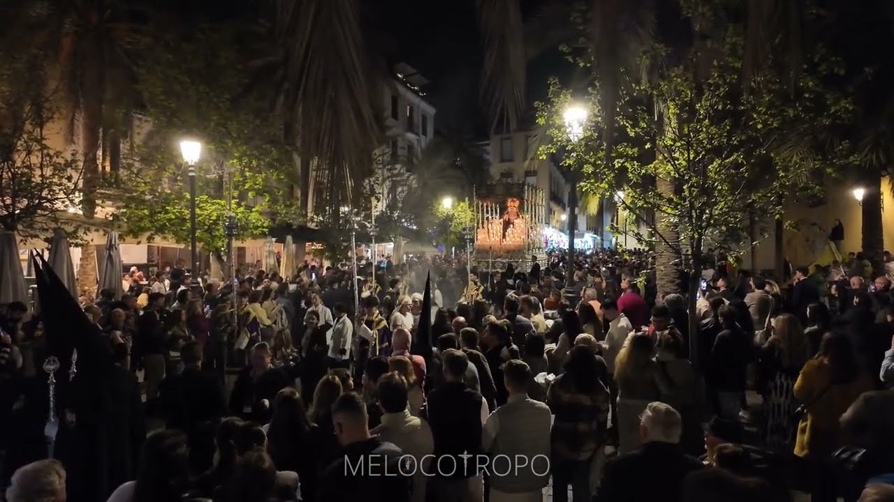 [4K] ESCOLAPIOS EN PLAZA ROMANILLA | GRANADA 2025