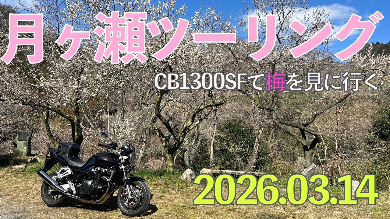 春の月ヶ瀬ツーリング【CB1300SF】2026/03/14