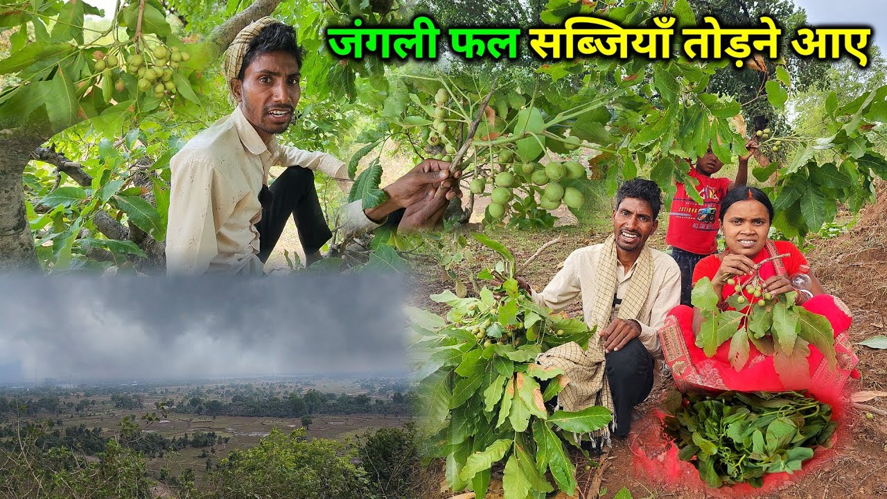 जंगली फल और सब्जियाँ तोड़ने आए पत्नी-पति | अचानक मौसम हुआ खराब | Pahadi Vegetable & Fruit
