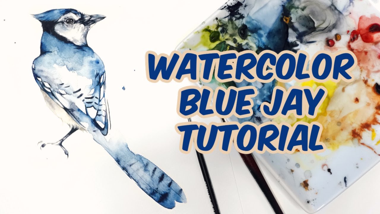 Full Watercolor Blue Jay Tutorial - Easy bird painting