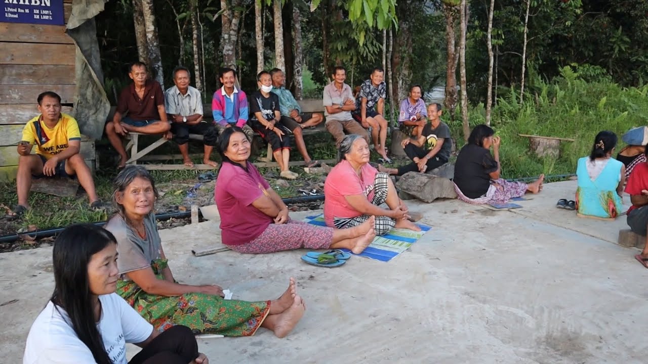 Temubual Suku Kaum Penan Long Unai // Kebanyakan Mereka Petani // Hutan Sumber Pendapatan Mereka //