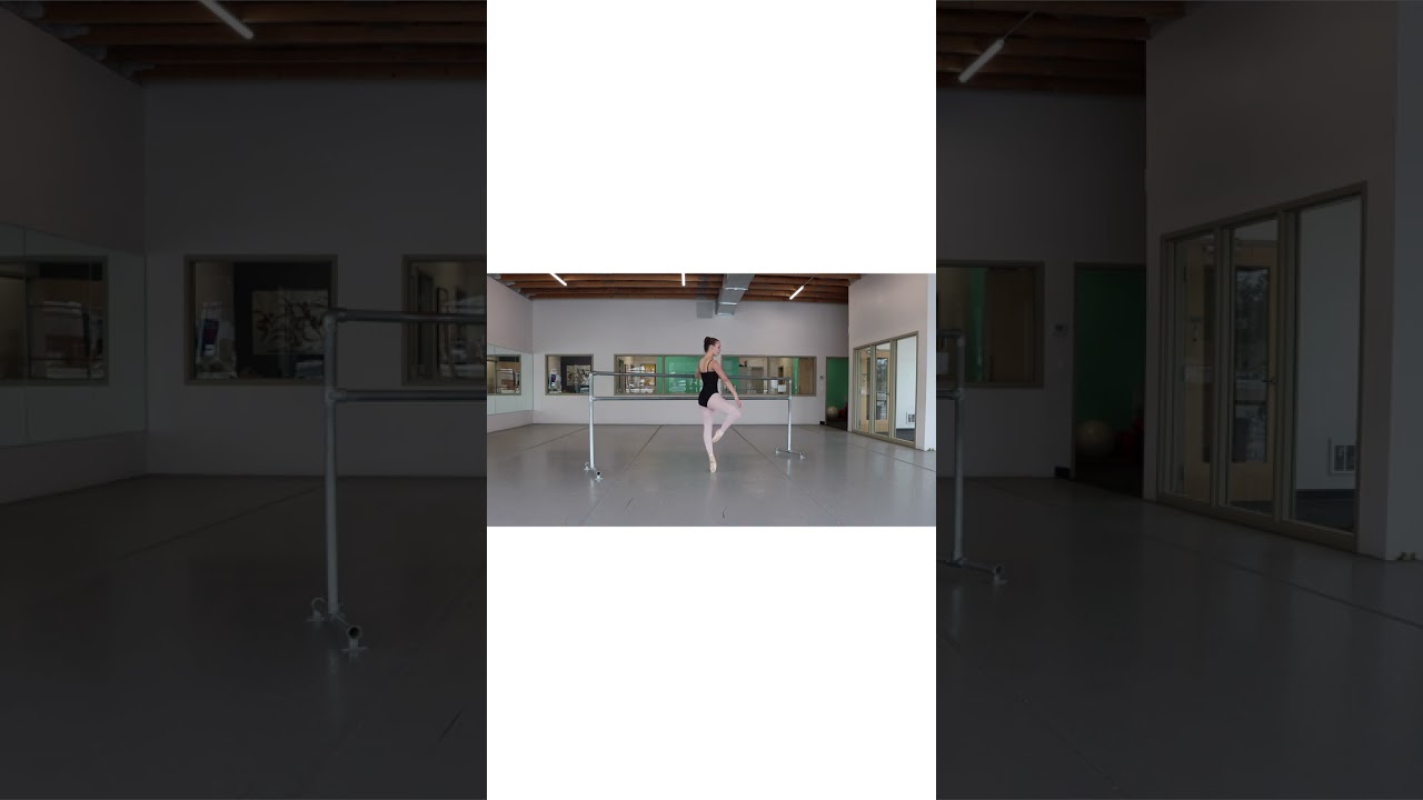 Ellison Ballet Summer Intensive Audition Video