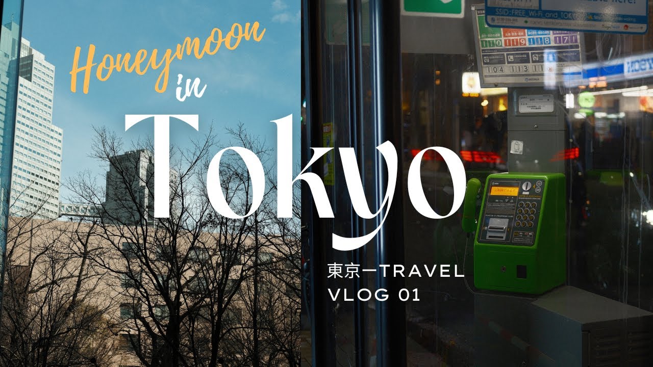 Honeymoon trip to Tokyo Japan (Katsu place, Shopping, Convenience Store)