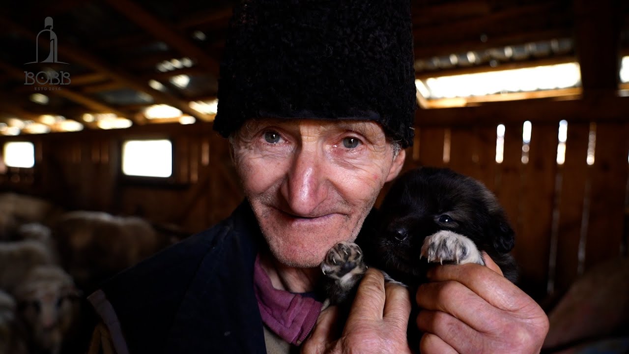 BADEA PETREA LA 74 DE ANI VREA SĂ-ȘI MĂREASCĂ TURMA DE OI | 9 CĂȚEI DE CIOBĂNEȘTI CARPATINI