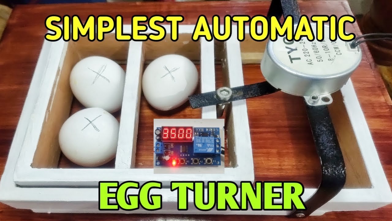 HOW TO MAKE AUTOMATIC EGG TURNER FOR INCUBATOR (ROLL TYPE) (ENGLISH SUB)