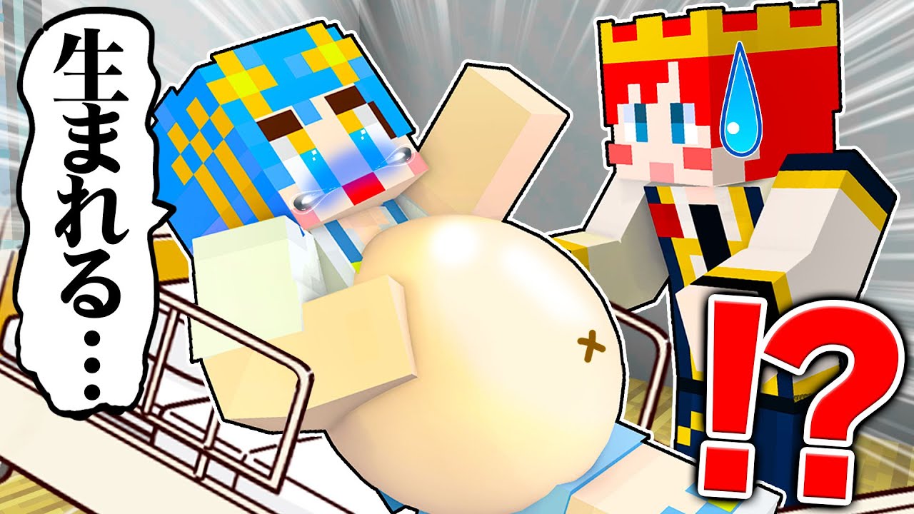 あおいちゃんが妊娠して大変なことに…!?【マイクラ / マインクラフト / Minecraft】