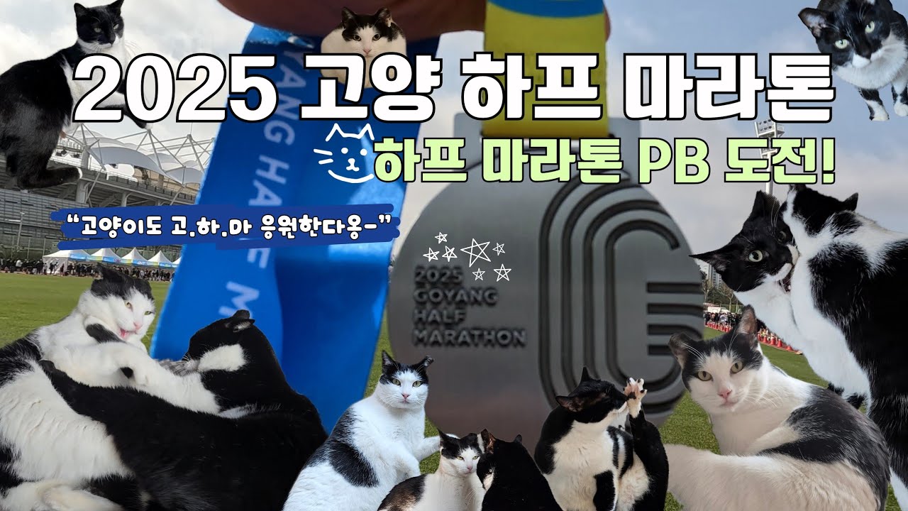 [대회] 2025 고양 하프 마라톤 | 하프 B조 출발 | PB 달성!