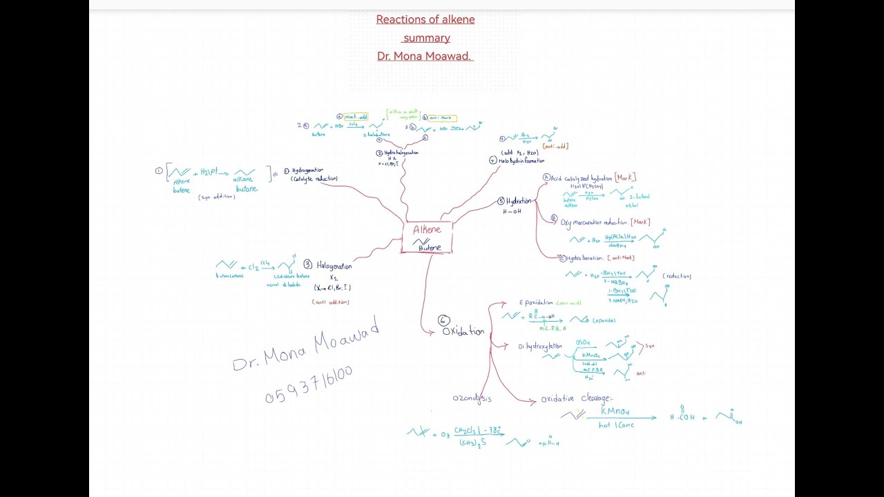 تفاعلات الألكينات بالعربي. ملخص شامل. Reaction of alkene. Summary
