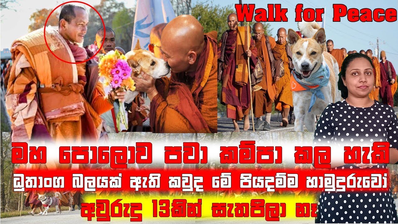මහ පොලොව පවා කම්පා කල හැකි ධුතාංග බලයක් ඇති කවුද මේ පියදම්ම හාමුදුරුවෝ @SandusDiary91