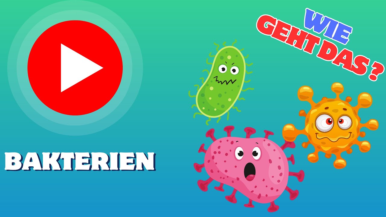Wie funktionieren BAKTERIEN