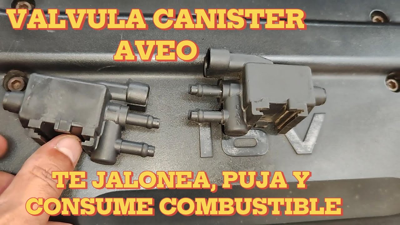 CANISTER AVEO