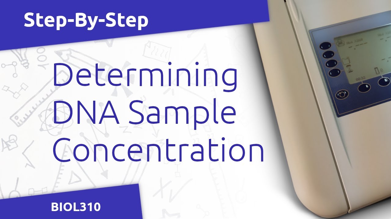 Determining DNA Concentration (BIOL310)
