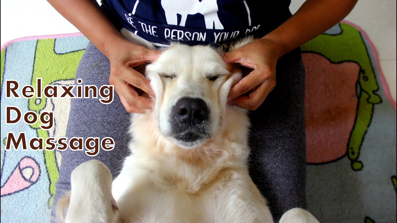 Relaxing Dog Massage