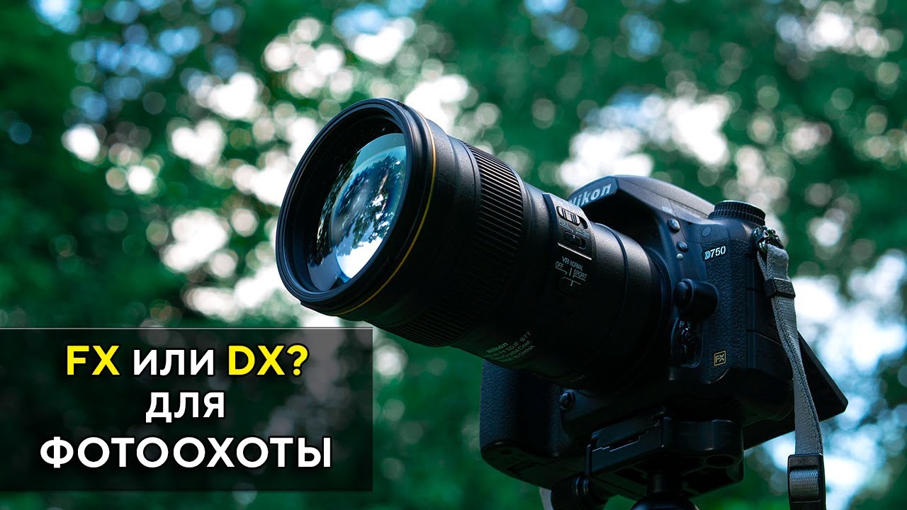 Nikon D5500 VS Nikon  D750 для Фото охоты 300мм F4 FL