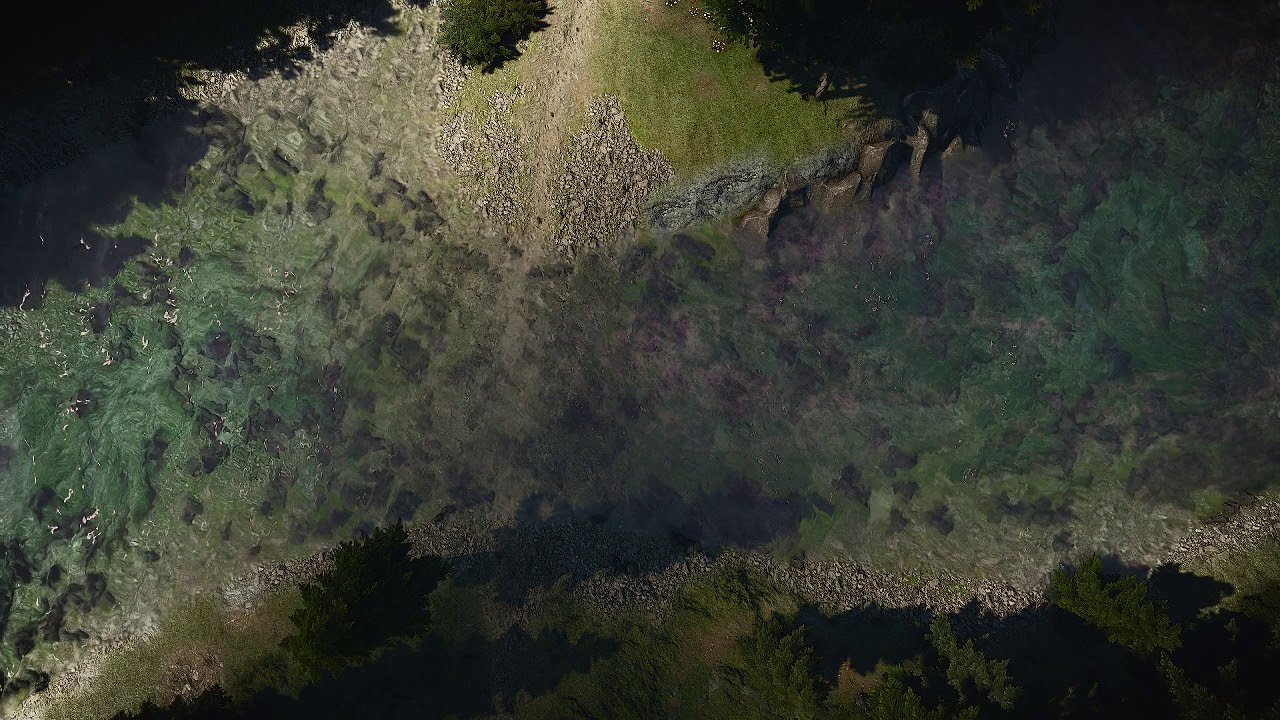 dnd Map Animated (river crossing, Birds)