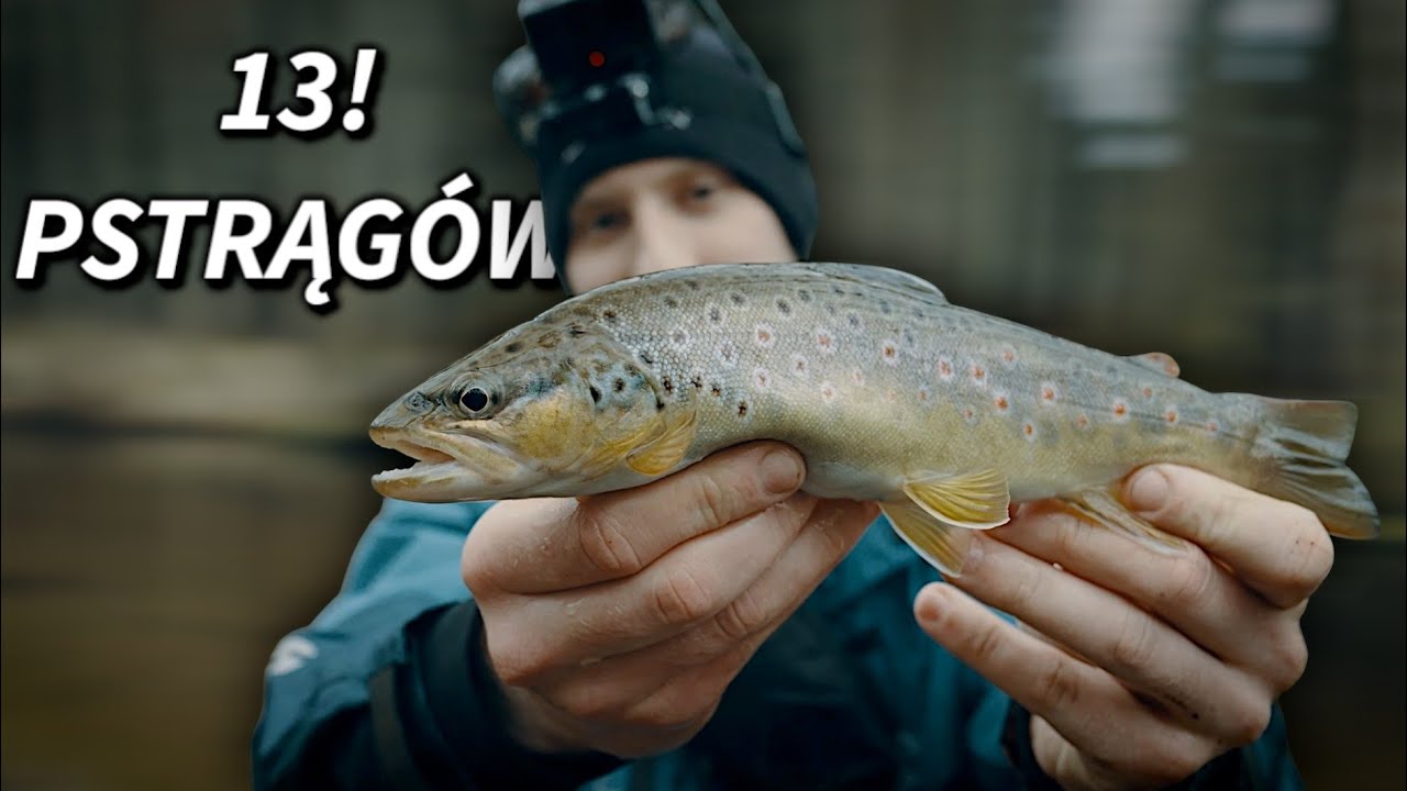 PSTRĄGI brały co RZUT! + KONKURS dla Widzów!