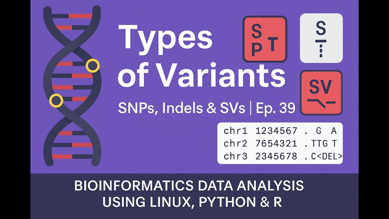 Types of Variants in Variant Calling | SNPs, Indels & SVs | Ep. 39