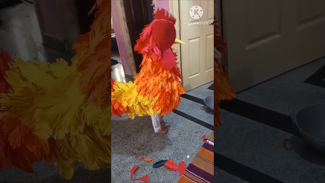 Fancy dress competition Cock roaster
