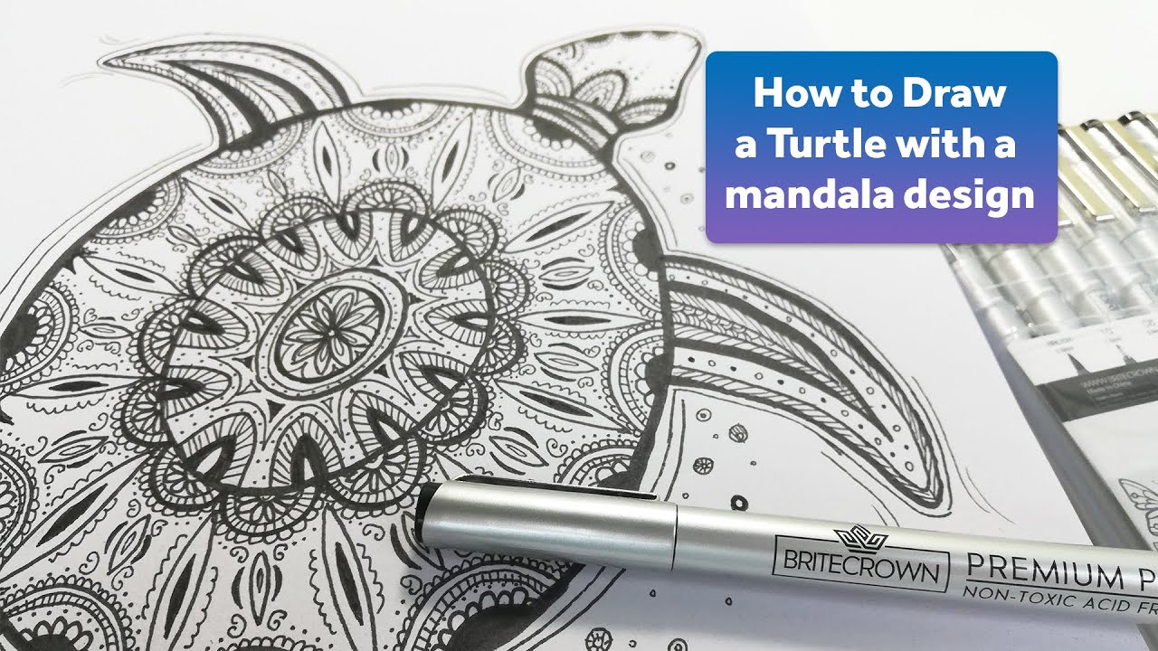 How to Draw a Turtle with a Mandala Design