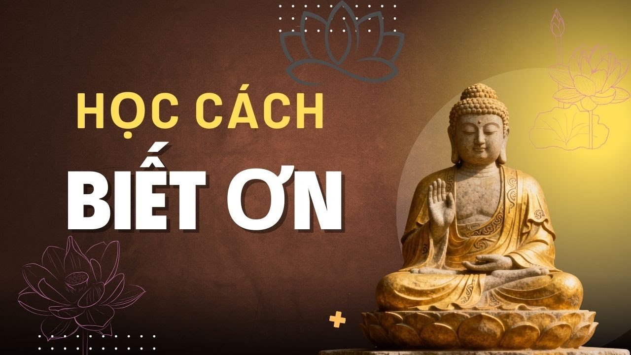 Học Cách Biết Ơn Theo Phật Giáo | Chánh Niệm – Vô Thường – An Lạc Nội Tâm