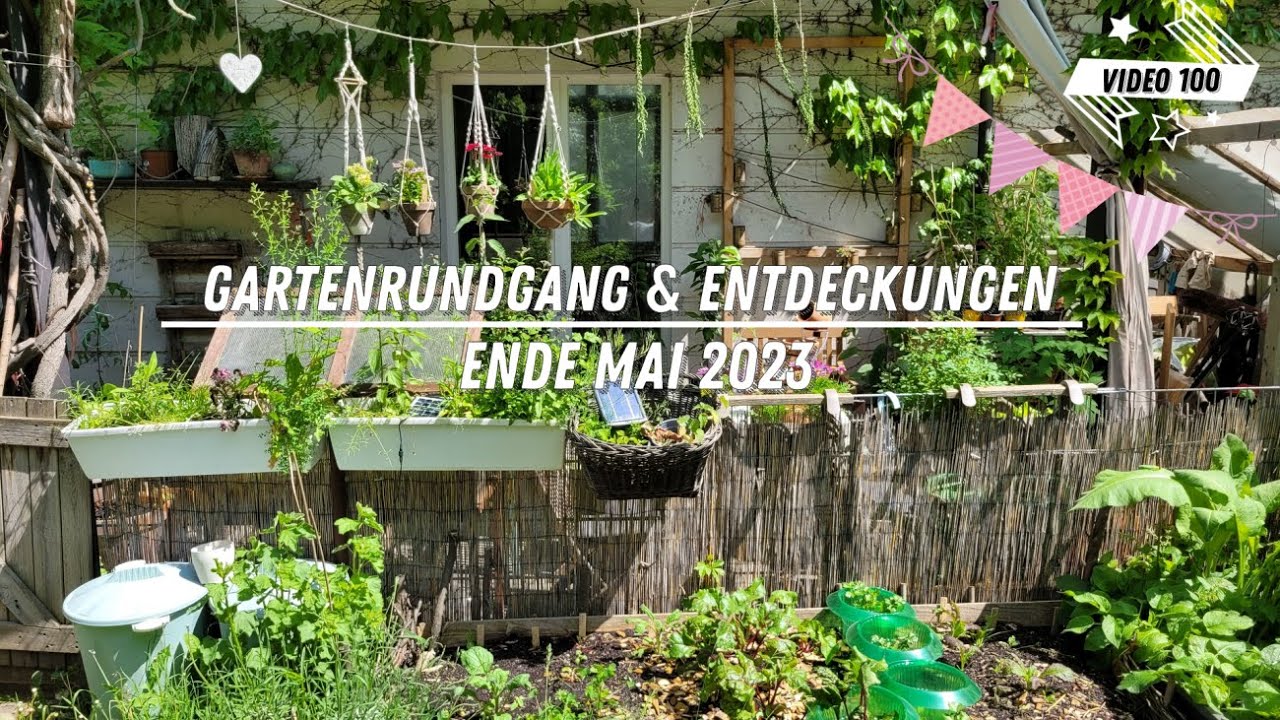 ☯️ Gartenrundgang und Entdeckungen Ende Mai 2023 ☯️