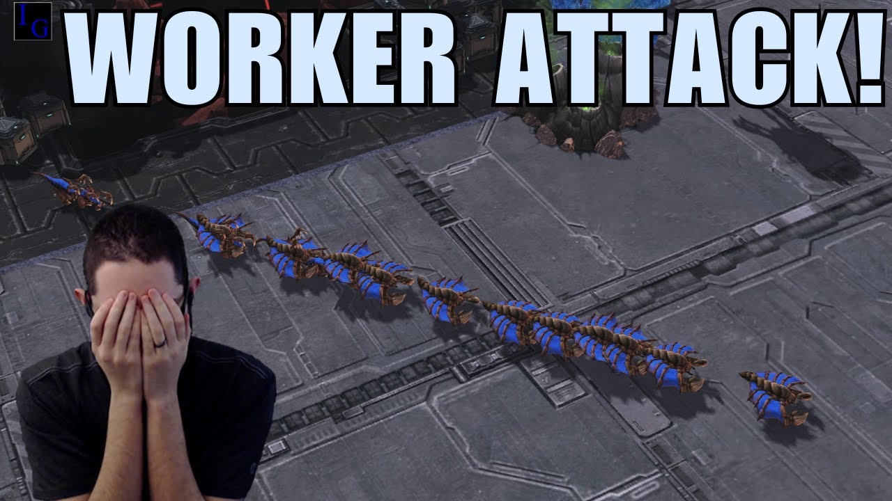 You're attacking with DRONES?! (Reynor vs Scarlett) | StarCraft 2 SC2 Best-of-5