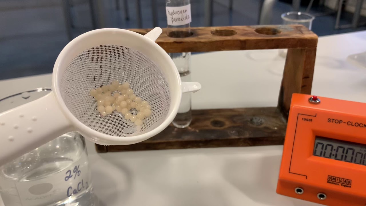 Immobilised yeast and catalase activity