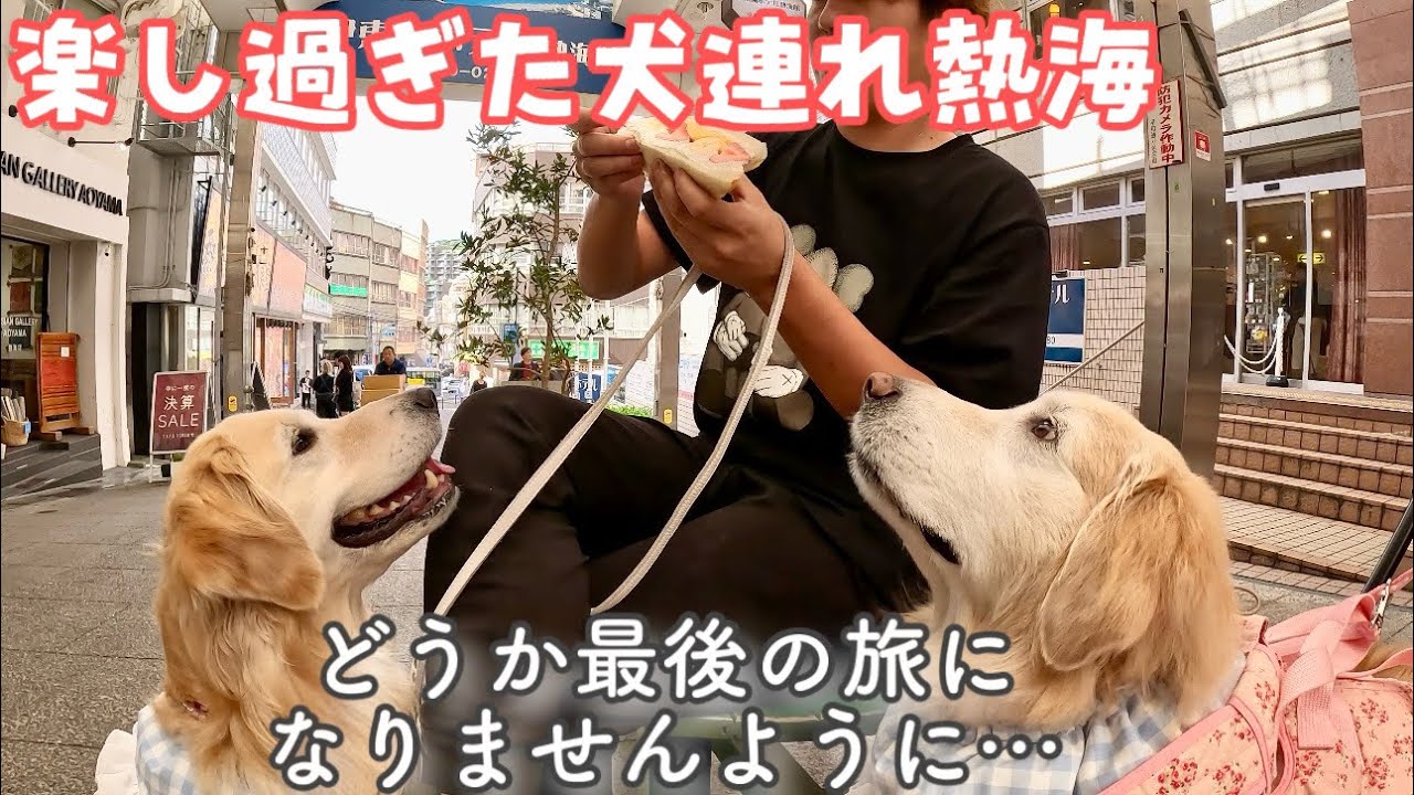 【静岡旅 完】最後の最後まで楽しむ事が出来た熱海旅行【またいつかきっと】