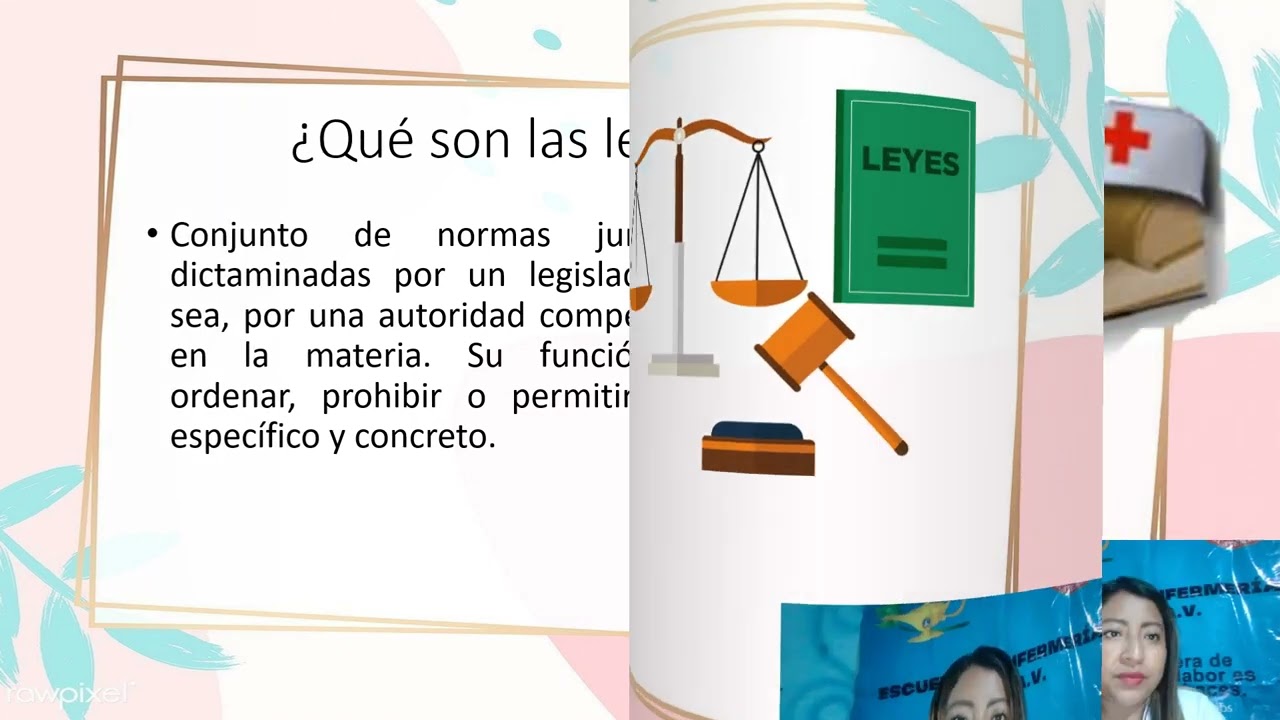 PRESENTACION DE LAS LEYES
