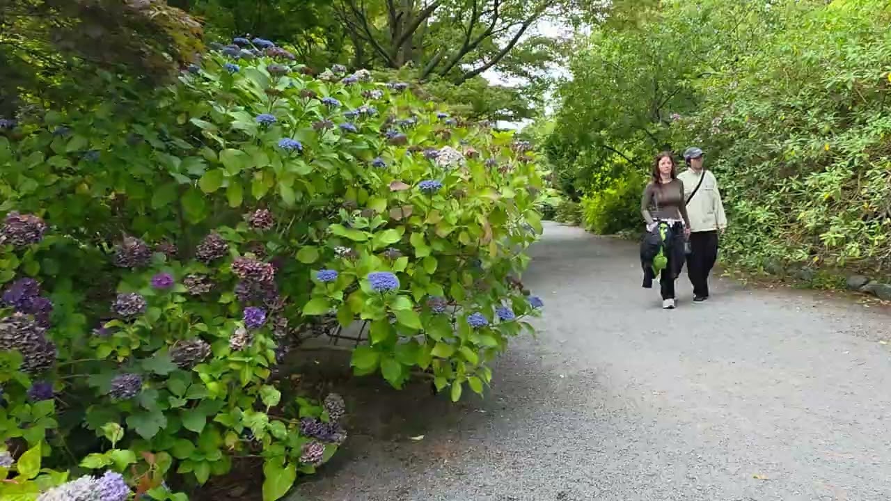 Walking Tour of Summer in Christchurch City #povwalking 