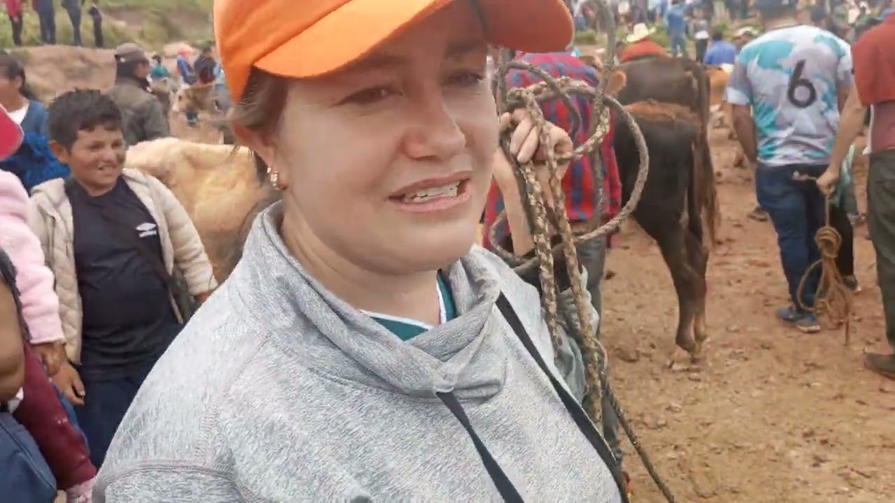 en los corrales Chotanos feria ganadera Chota Dpto de Cajamarca Perú..