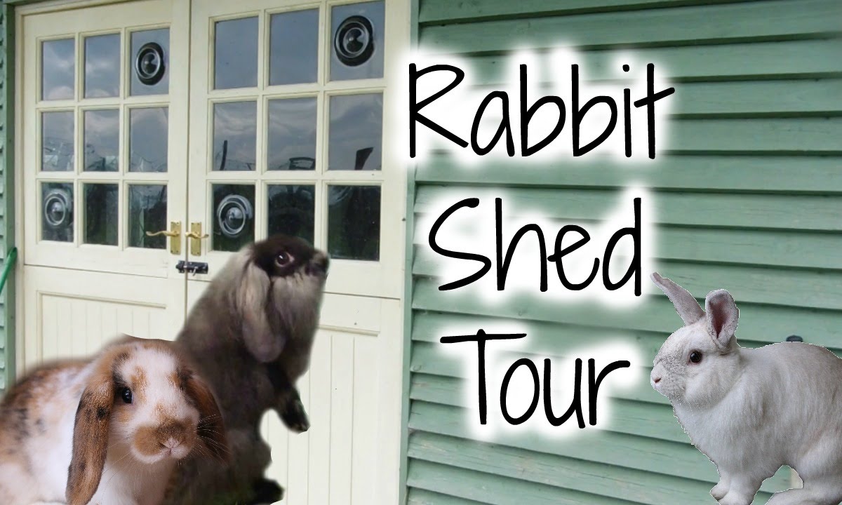 Rabbit Shed Tour October 2015