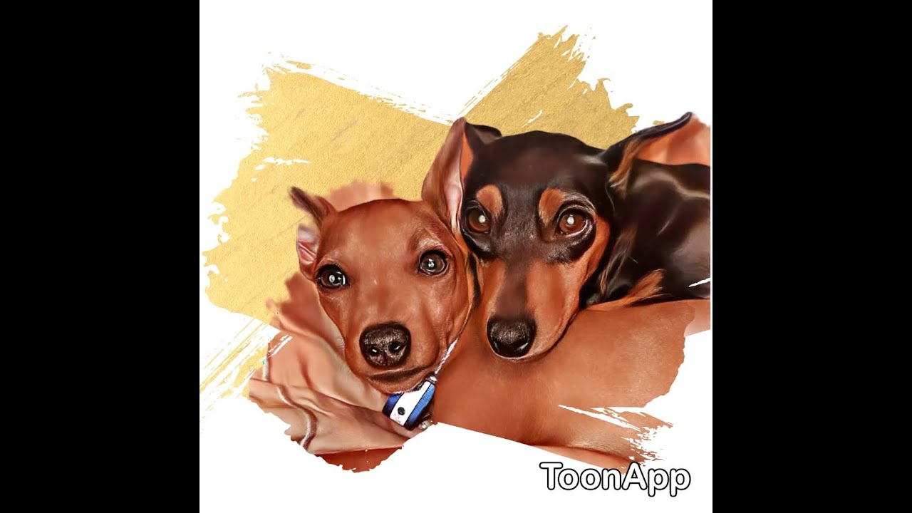 Little Trucker Kennel Miniature Pinschers