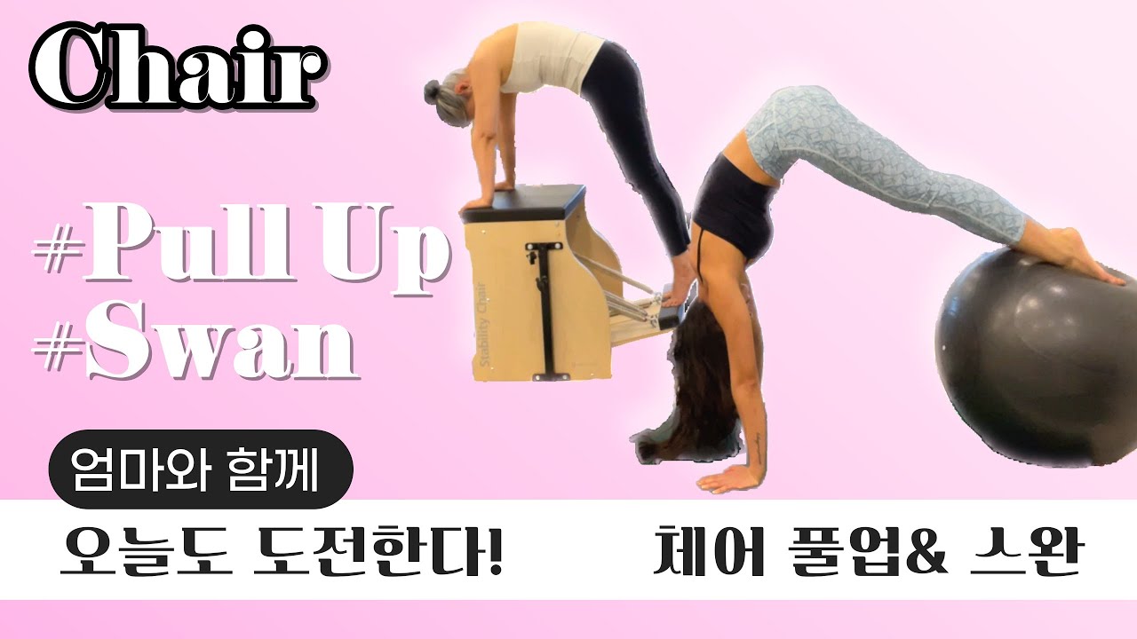 오늘의 도전 | 체어 풀업& 체어 스완 | chair pull up& swan