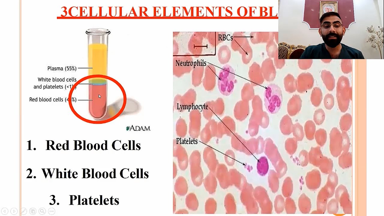 Hematology 