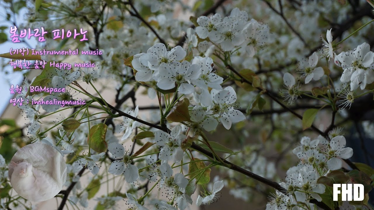 행복한 음악 Happy music (봄바람 피아노 (기악) - BGMspace)