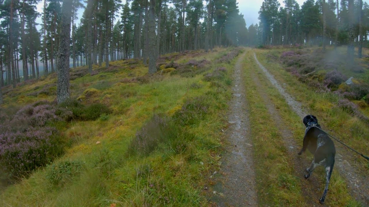 Hiking the Speyside Way Aviemore to Buckie in 4 days