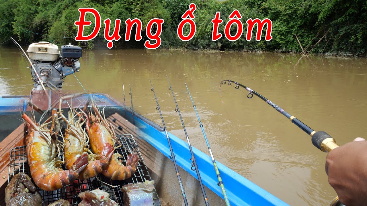Điểm câu rất quan trọng trong video này ✅