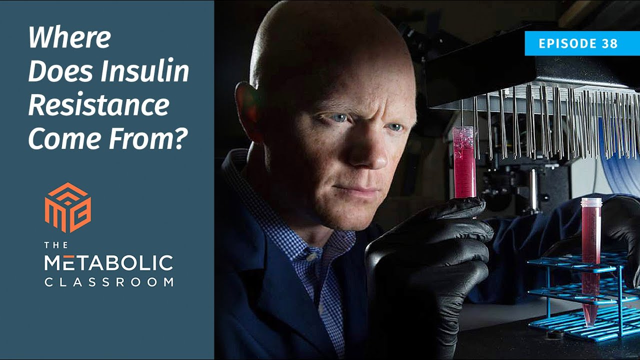 38: Where Insulin Resistance Comes From with Dr. Ben Bikman