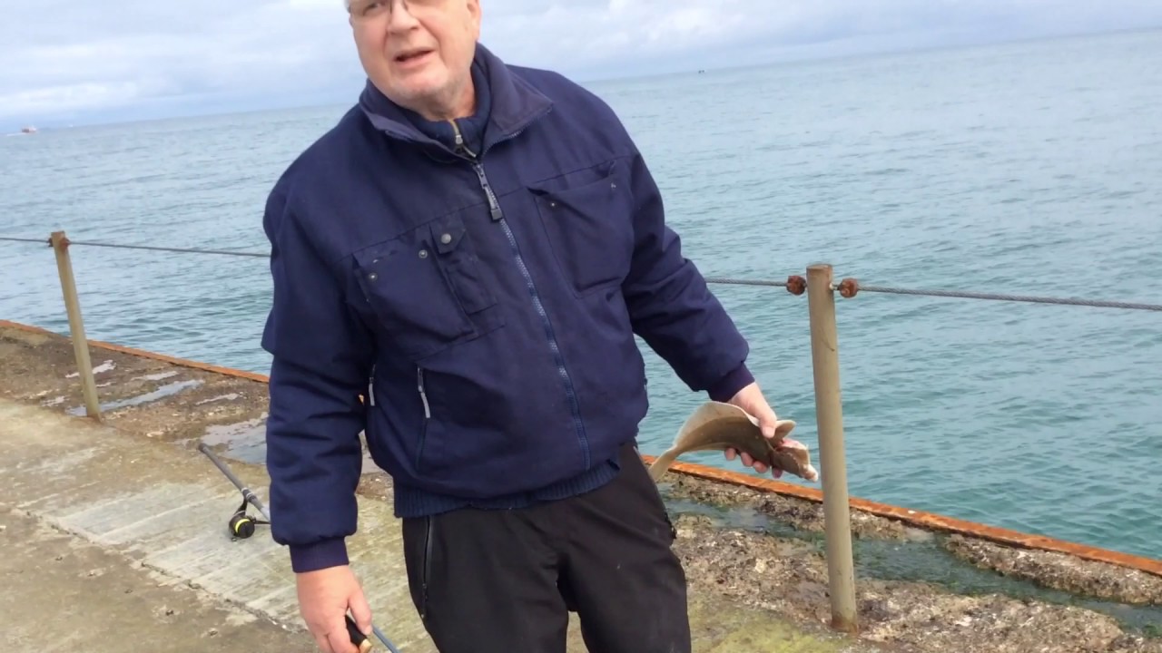Silde og Fladfiskeri på Hanstholm havn / 2017