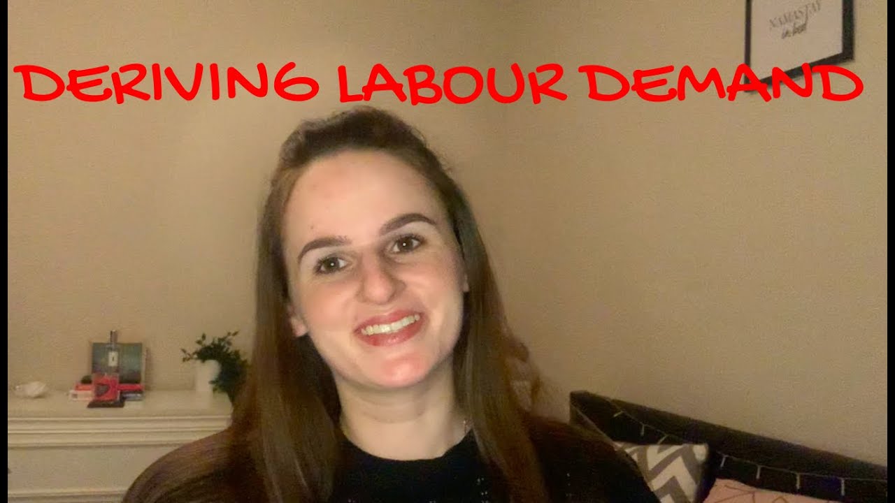 HOW MANY PEOPLE SHOULD FIRMS EMPLOY? | Deriving Labour Demand