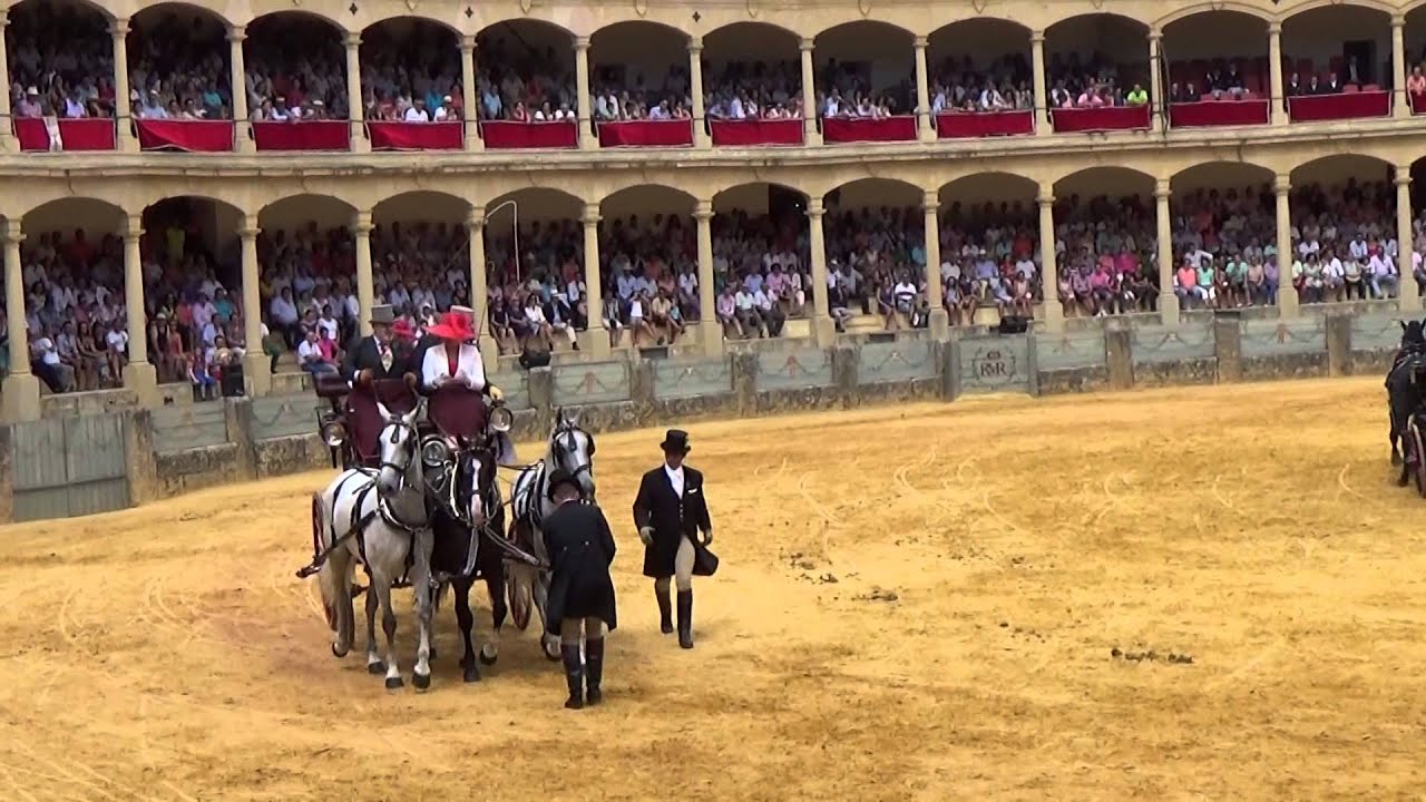 Concurso Exhibición de Enganches. Tresillo y Potencia. Ronda 2014