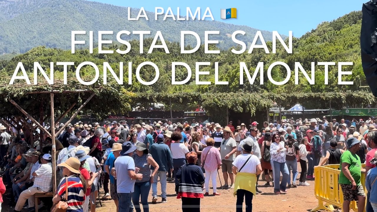 Fiesta de San Antonio Del Monte 2023, La Palma (4K)