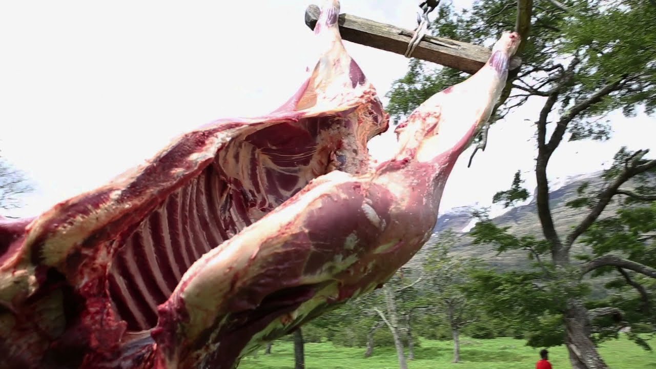 Cooking A Whole Cow For Village People Marriage | Beef Curry Bangladeshi Style