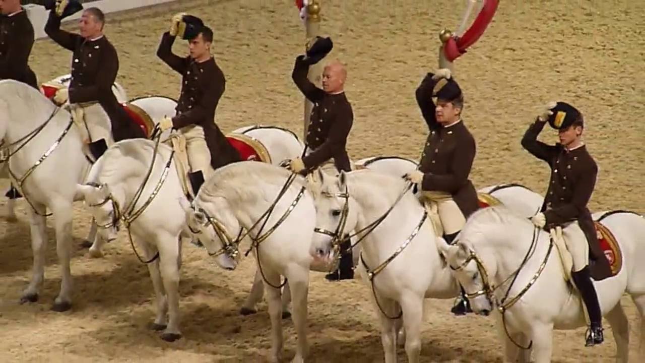 The Spanish Riding School of Vienna 08