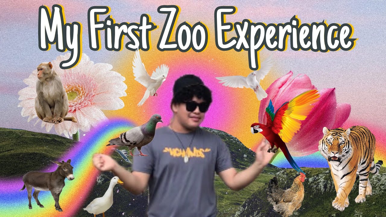 My First EXPERIENCE AT THE ZOO  !!!! 🕊🐑🐆