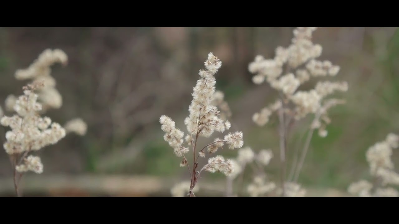 Myślenice Góra Chełm