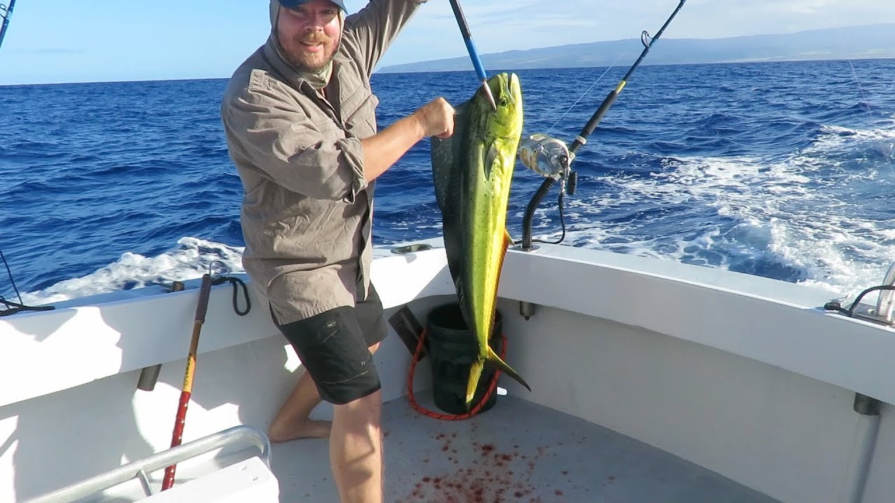 Deep sea fishing Kauai - Aku Tuna, Mahi-Mahi and Ono